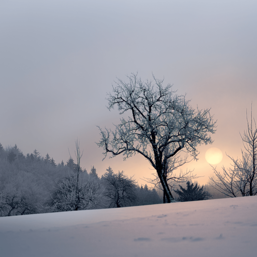 seasonal affective disorder