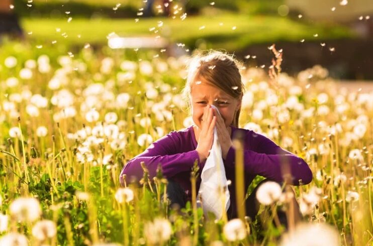 Hay Fever: What You Need to Know and How to StayAhead of Symptoms